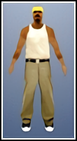 109 — Los Santos Vagos