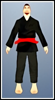 204 — Karate Teacher
